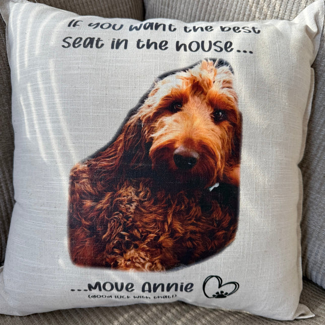 Custom Pillows Pet Best Seat